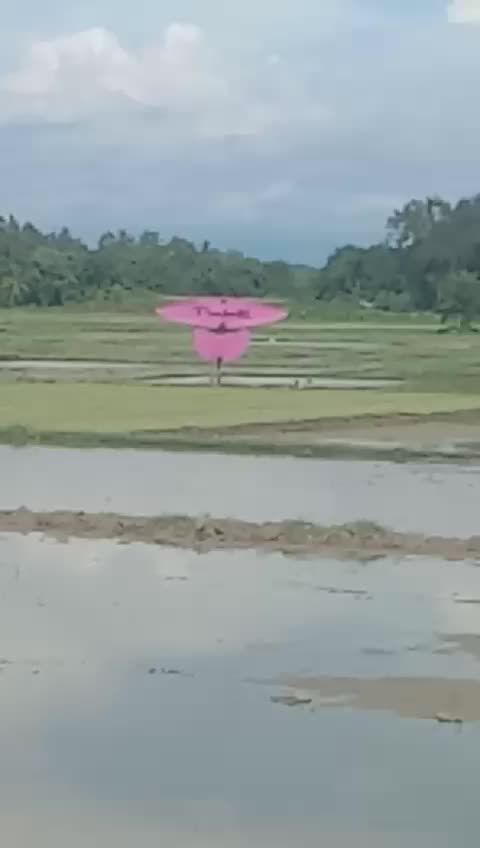@ajo putiah