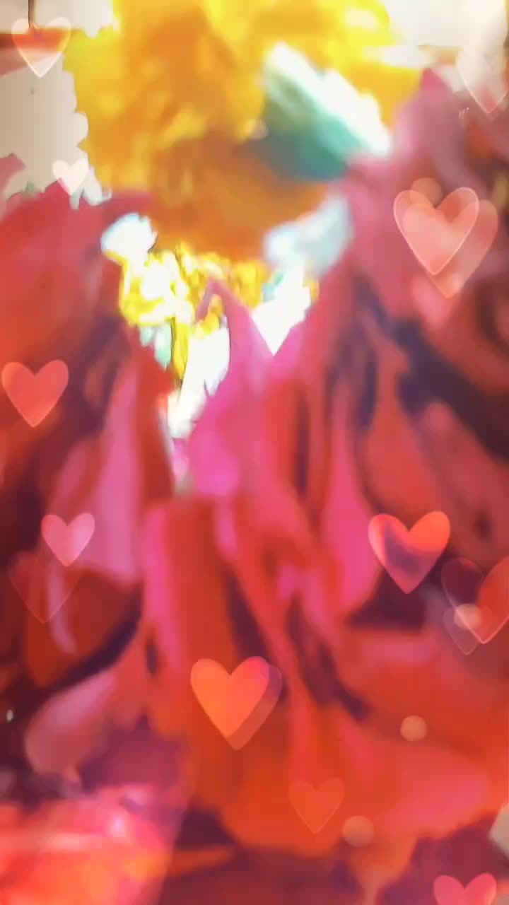 @👑 R_A_T_H_&Oslash;_D 👑