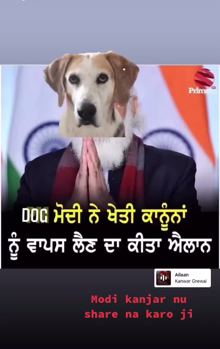 @Jatt punjabo