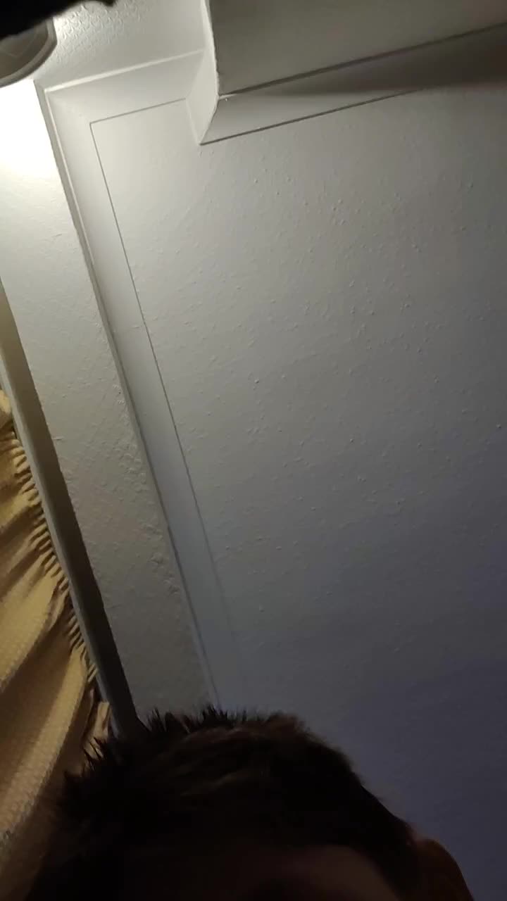 @Golden man 17771