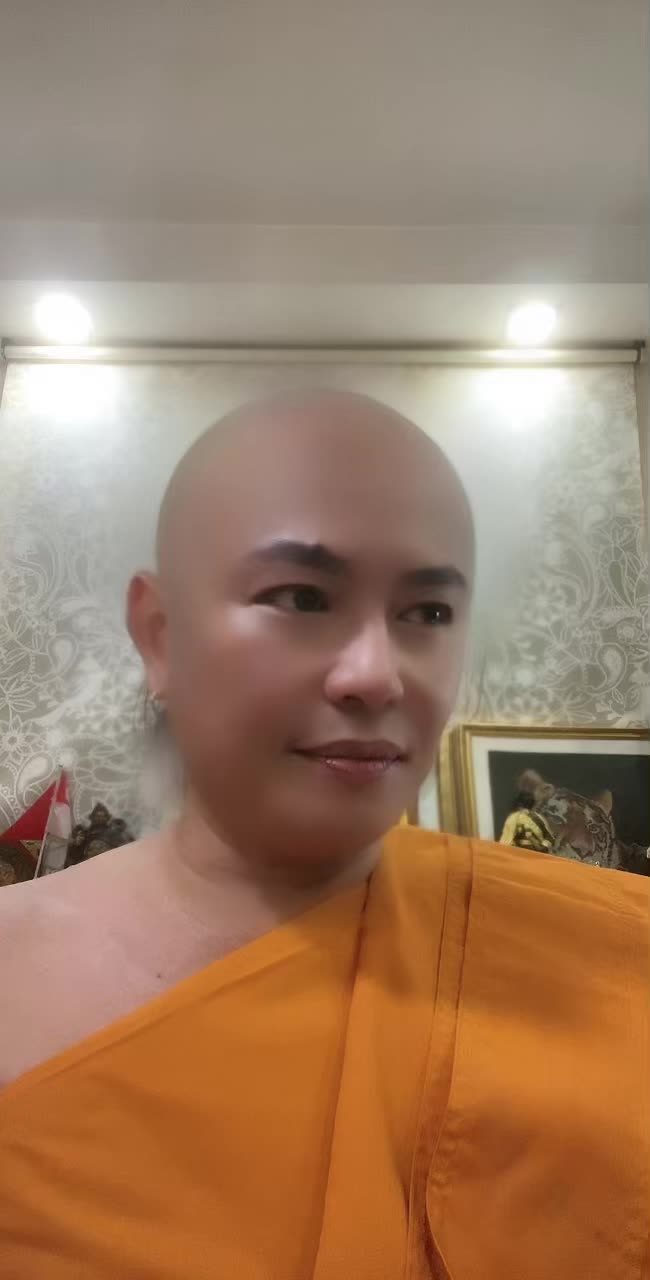 @Taadaa小虎哥