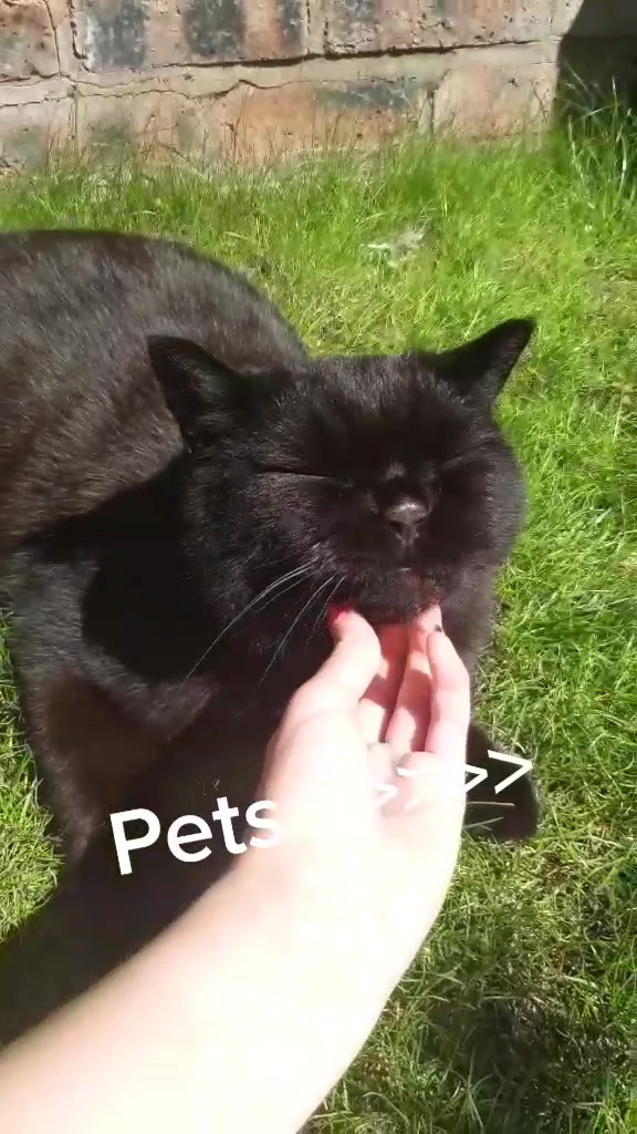 @<3