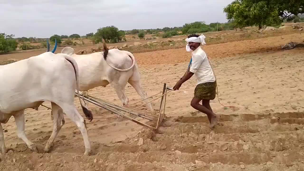 @user c muniswamy