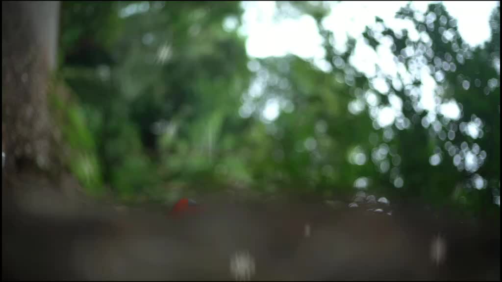 @Relangi Tanay Lucky