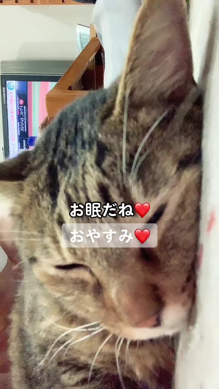 @かず吉🍻