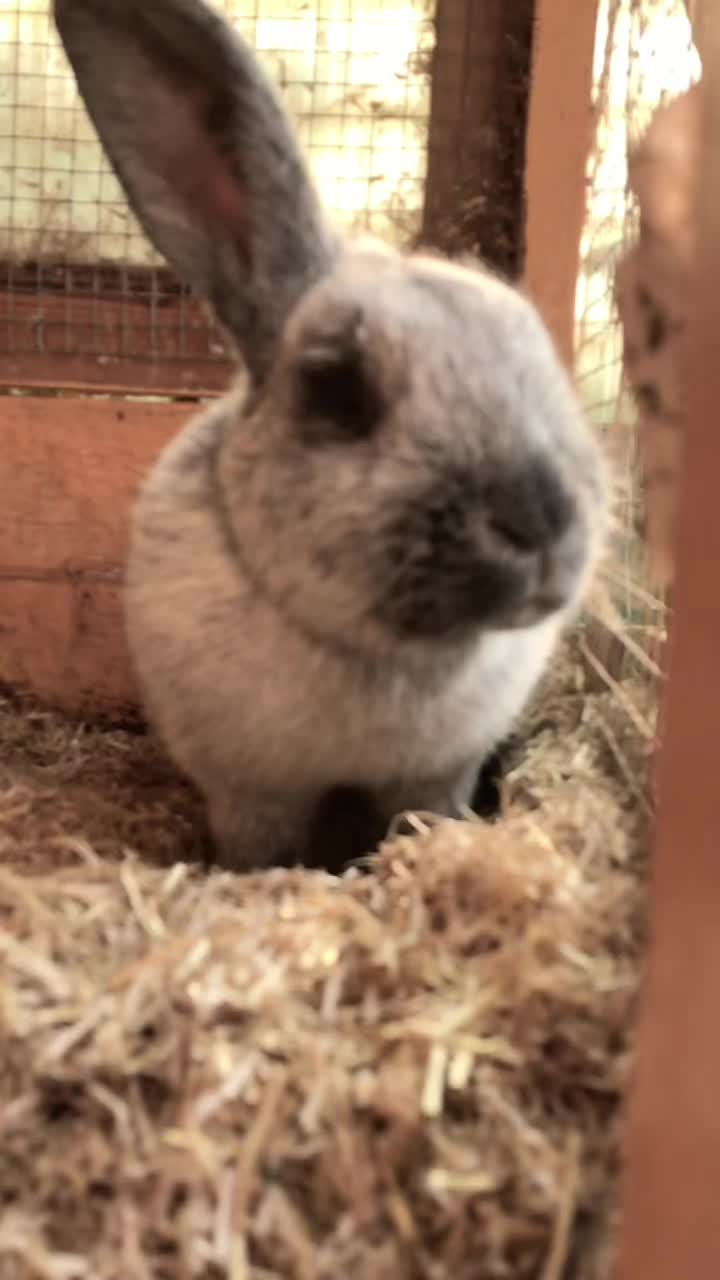 @🐾