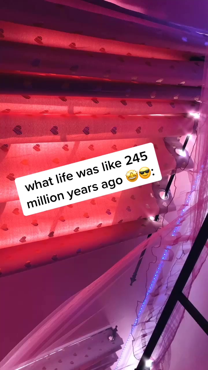 @cheese😏