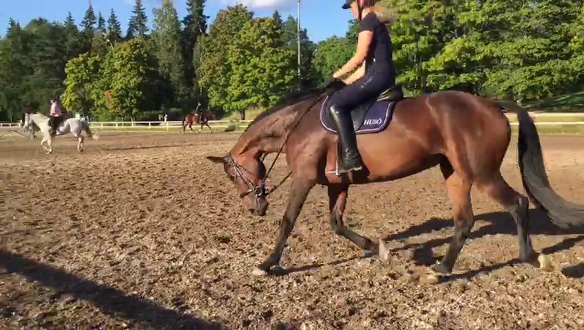 @Hus&ouml;