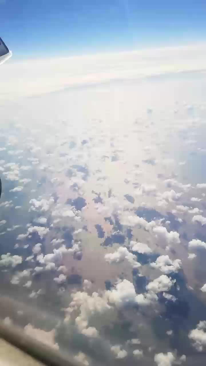 @Nana_animals
