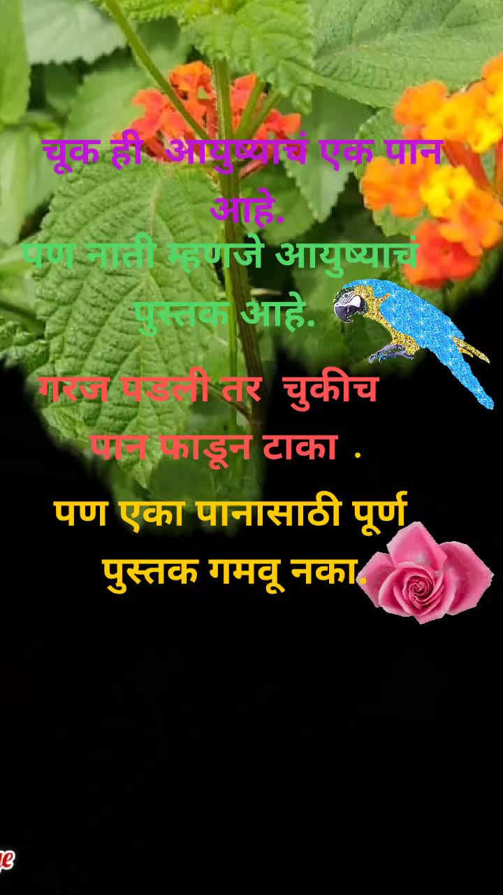 @abhijay electronic