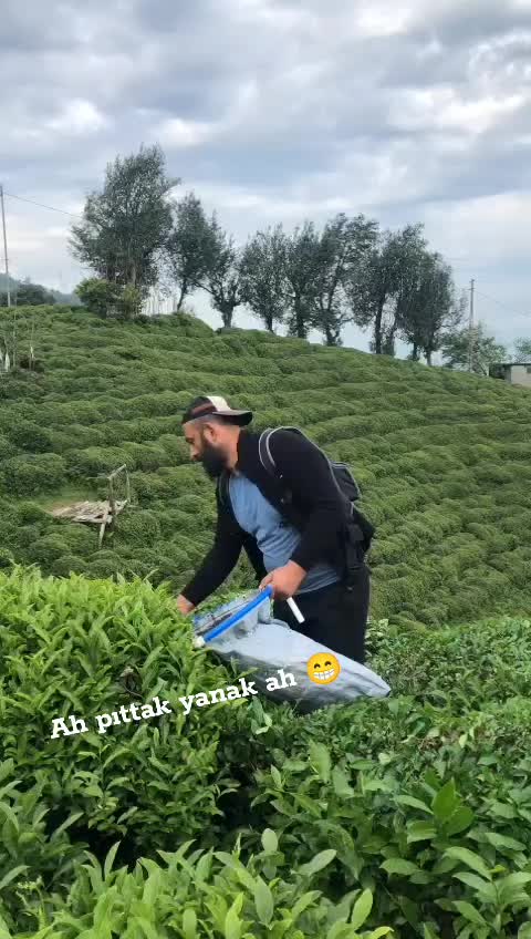 @KorKut_28