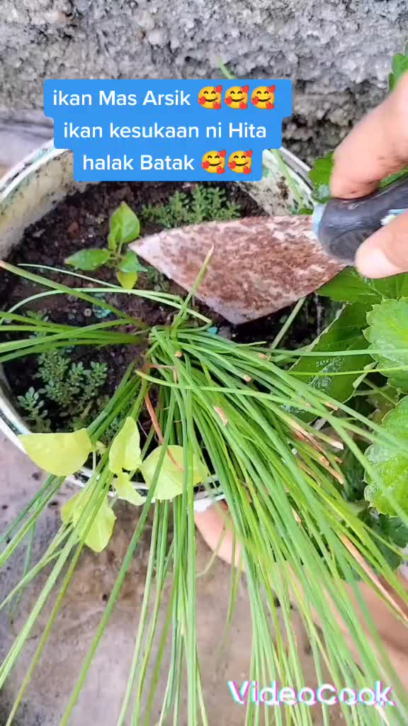 @Inong Chelsea Samosir 🥰🥰