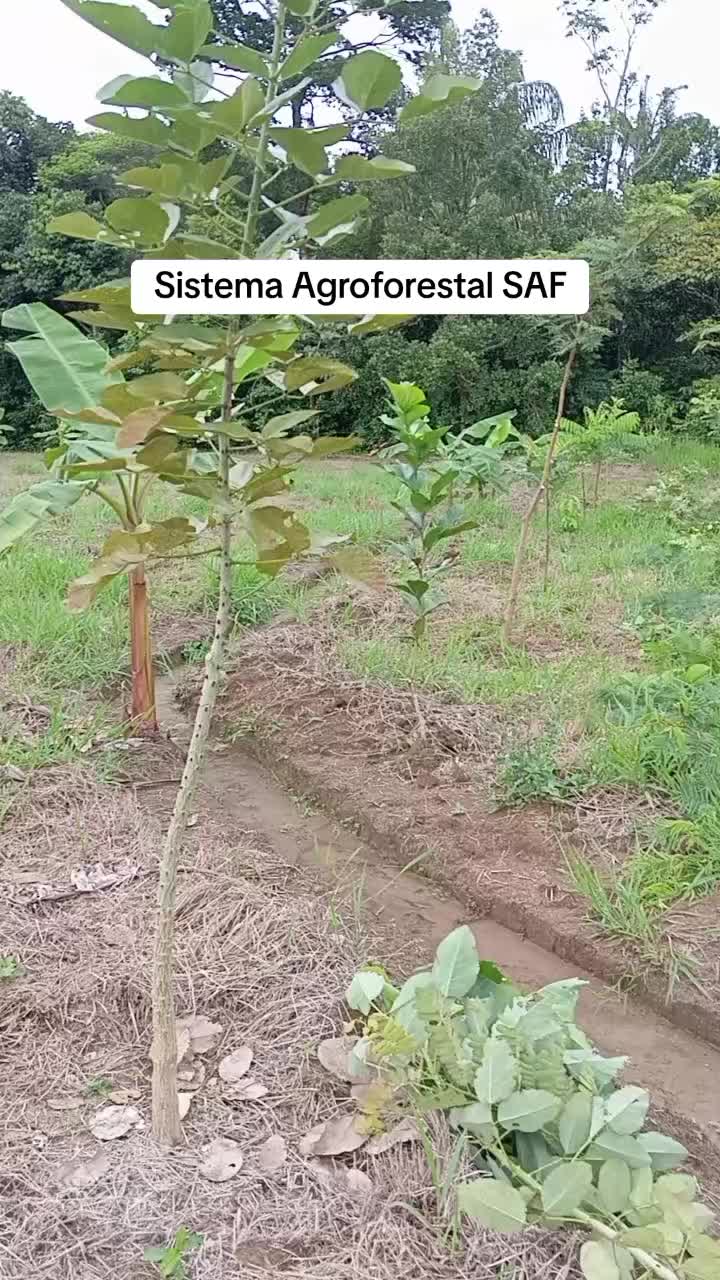 @SuperNovaRegenerative