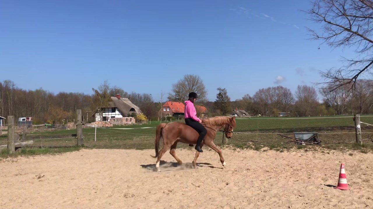 @Caro & Balou☀️