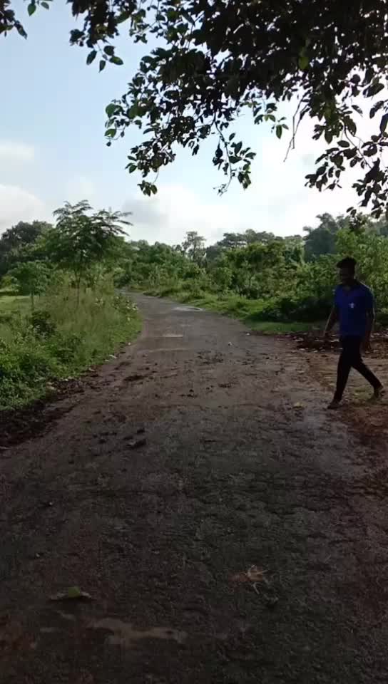 @Bikram Sahoo