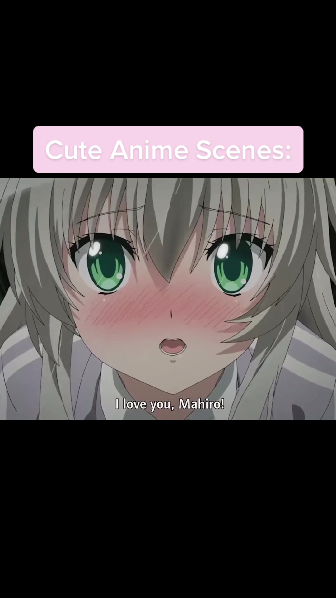 @*:･ﾟ✧*:･ﾟ