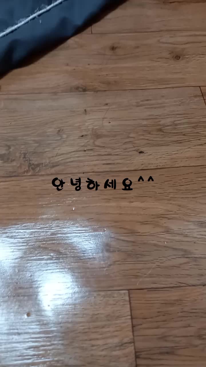 @전토끼씌