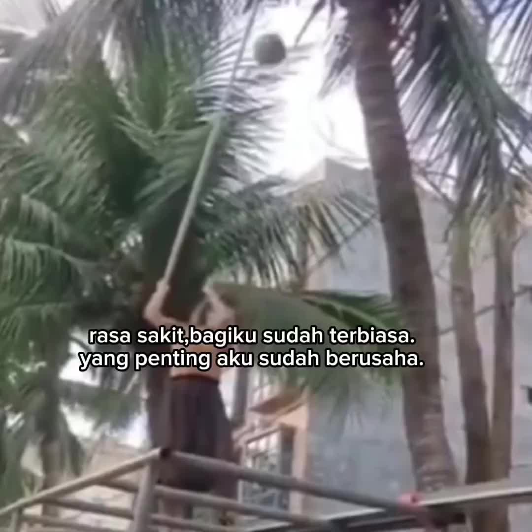 @yotamapr