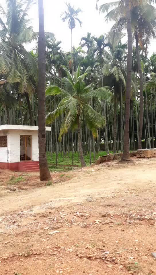 @Raju Tiger