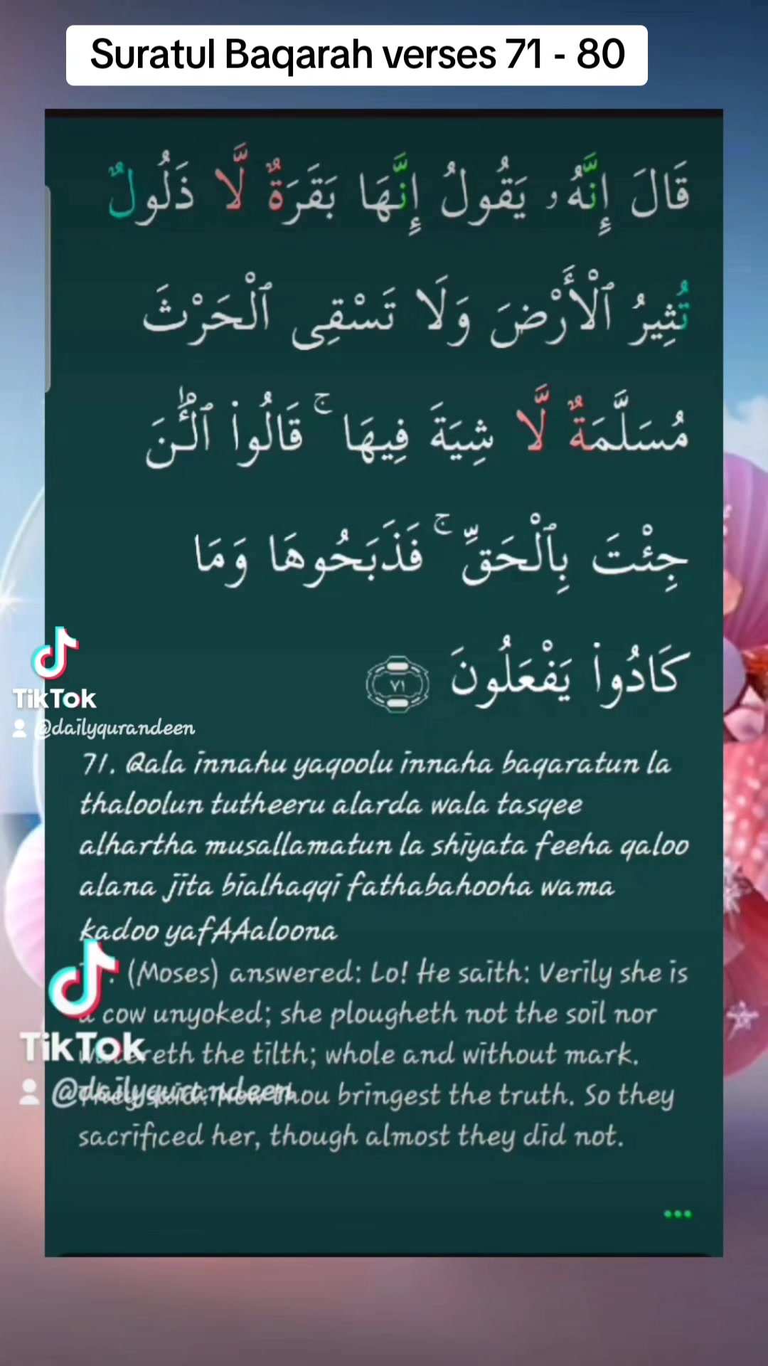 @Dailyqurandeen