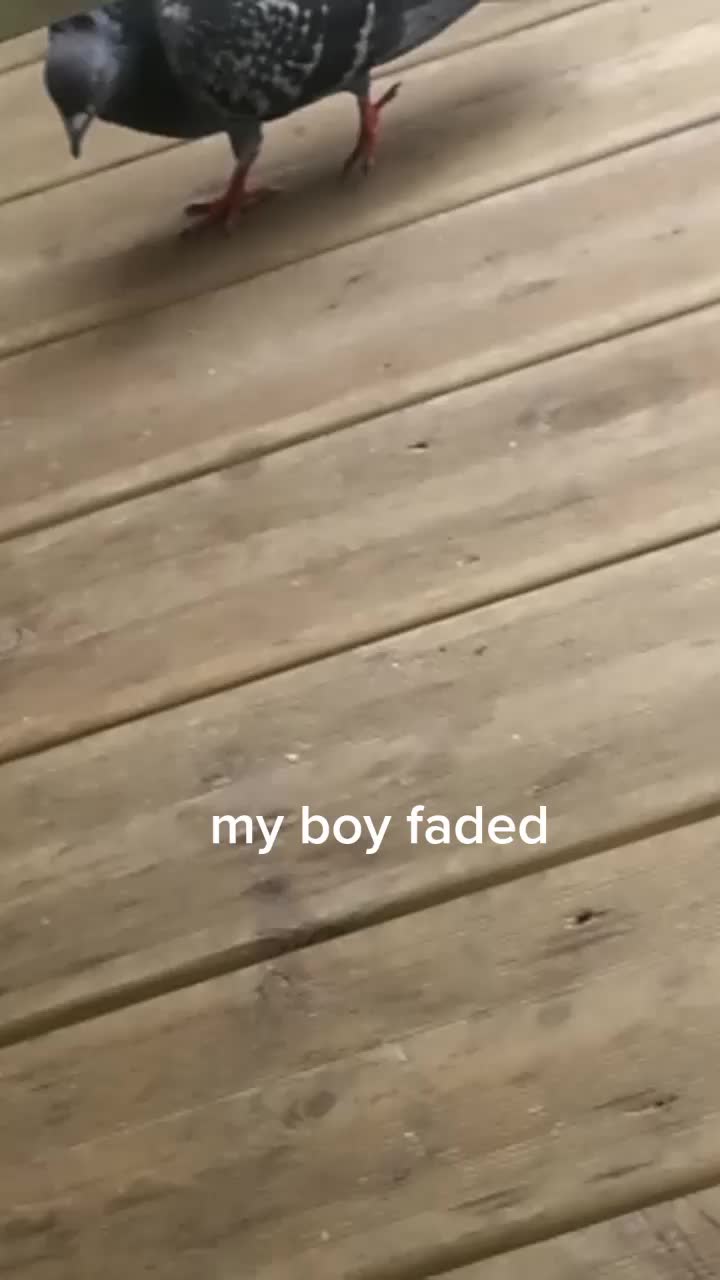 @VlôöõōŌÓōãaāzLeMalînôįs
