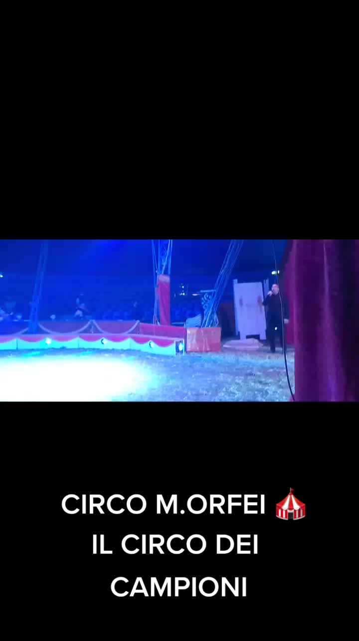 @pietrocanino