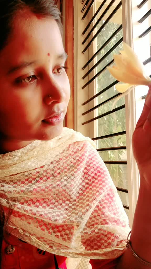 @priyankauday280