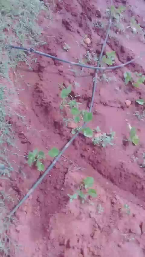 @Raja K Bharjari
