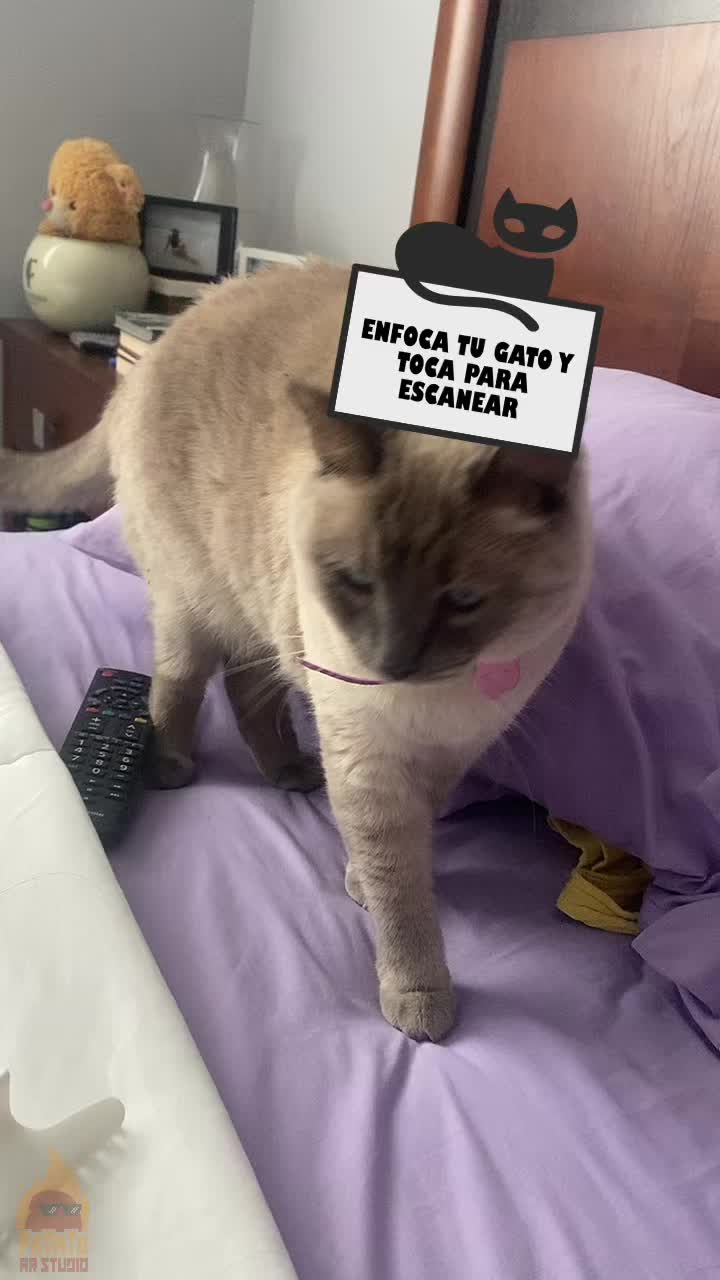 @Vero Andrade