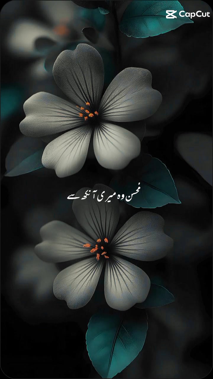 @viral tolk