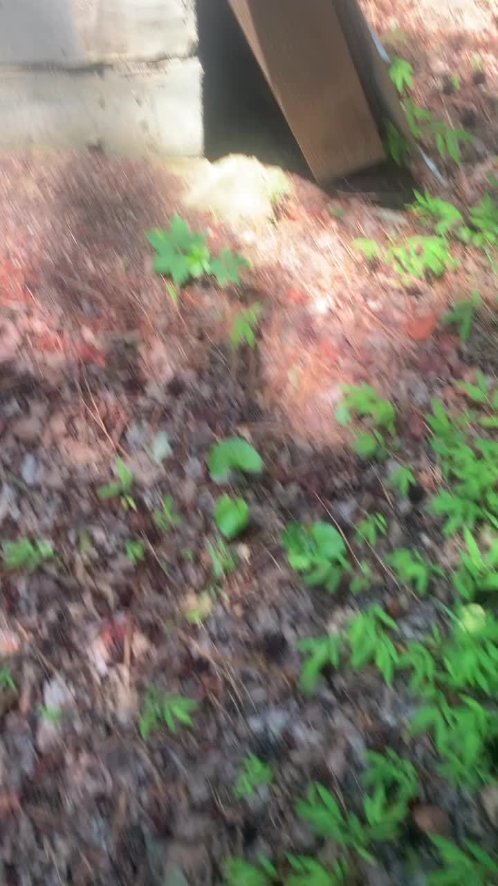 @plumbnutty