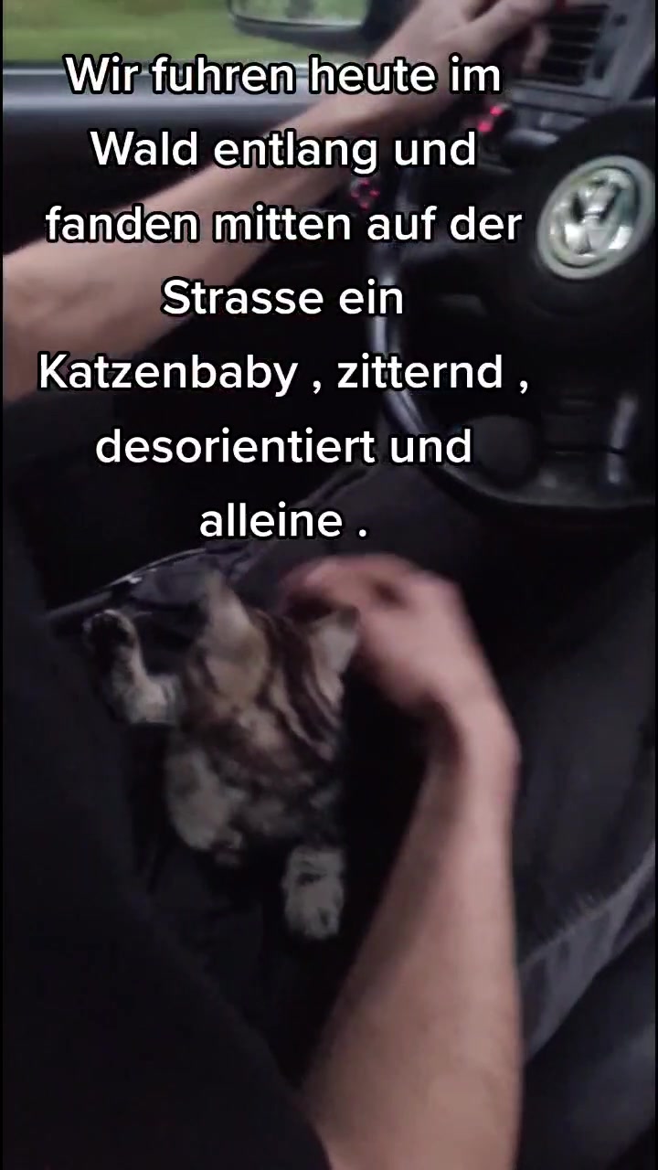 @T/E