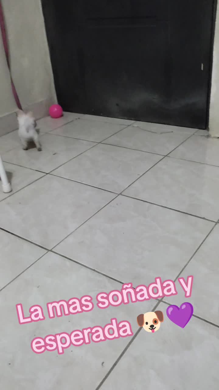 @Kira y Luna Benavides