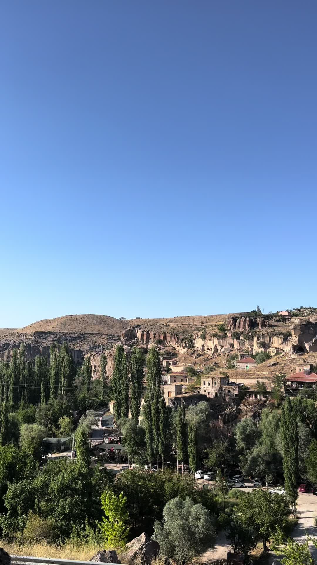 @Alim Albayrak