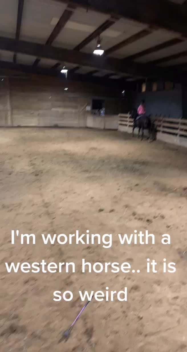 @horsie_rider