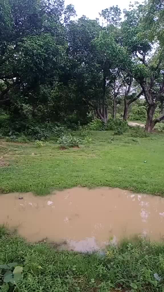 @ChandanBehera3165