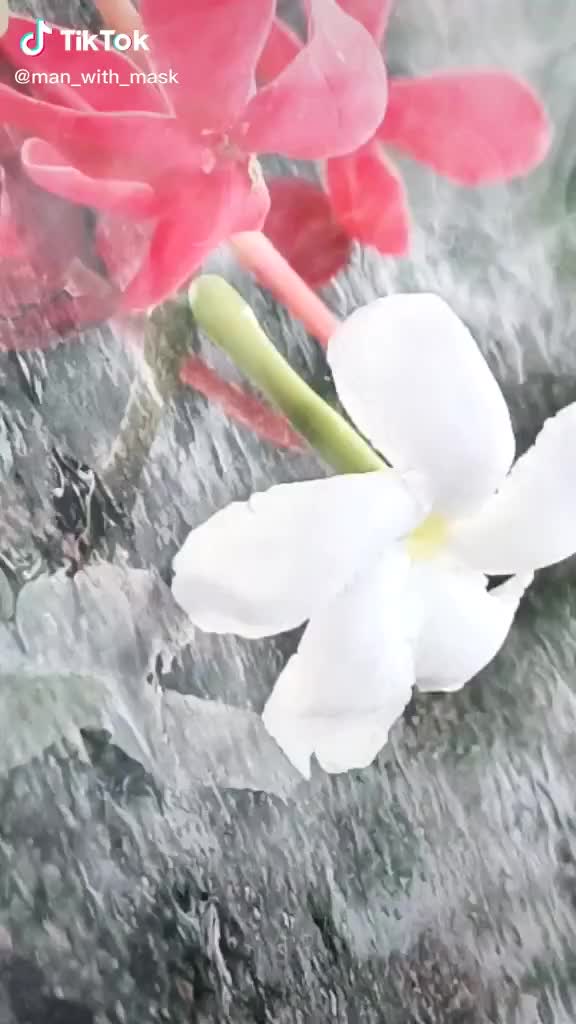 @&hearts;️Jainy_antony&hearts;️