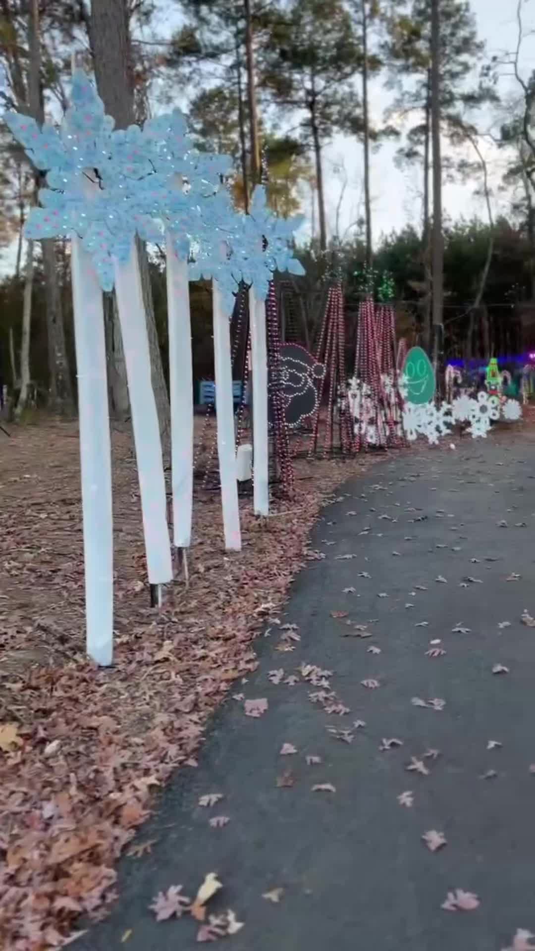 @Piney Park