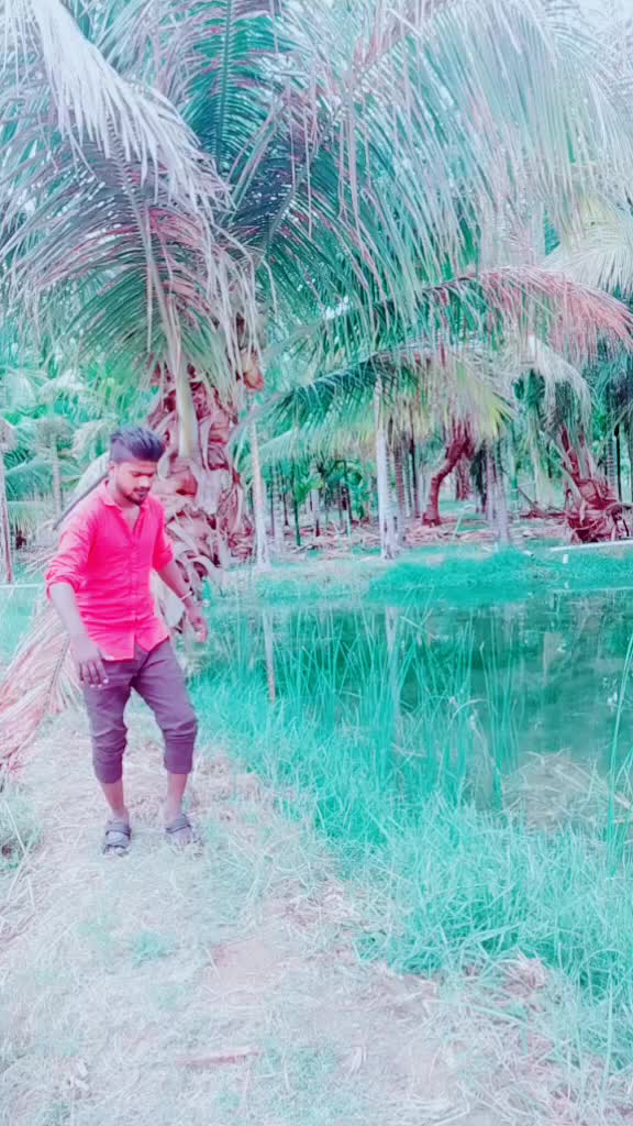 @sreedhar d boss