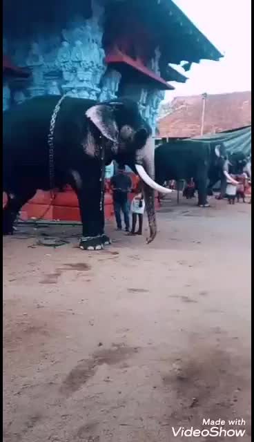 @കൊമ്പൻ