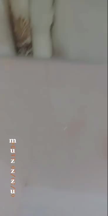 @Mr_shaikh999