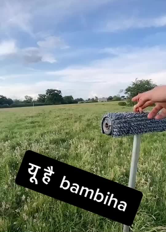 @chinturor