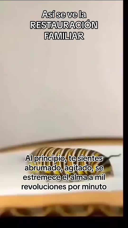 @Lina Villamil