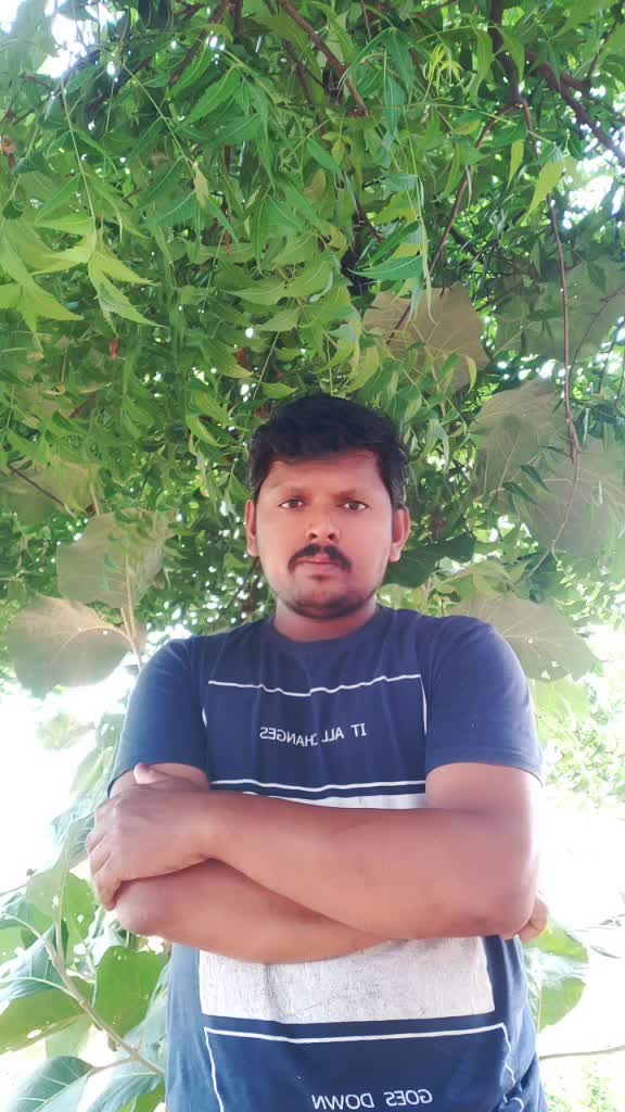 @user8504071479393