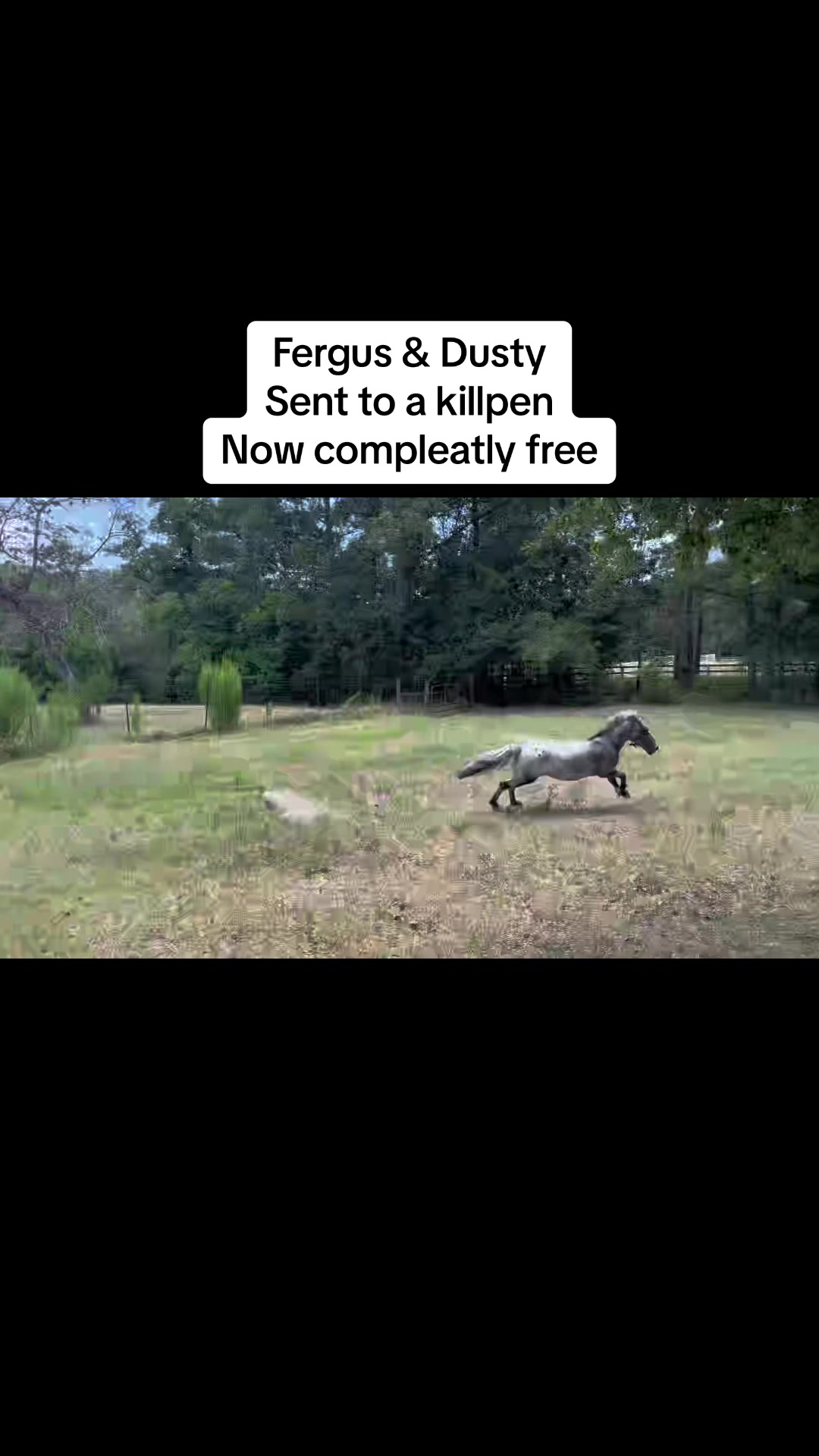 @CowboyBob_Horsemanship