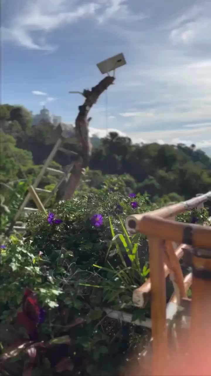 @BC_explorer