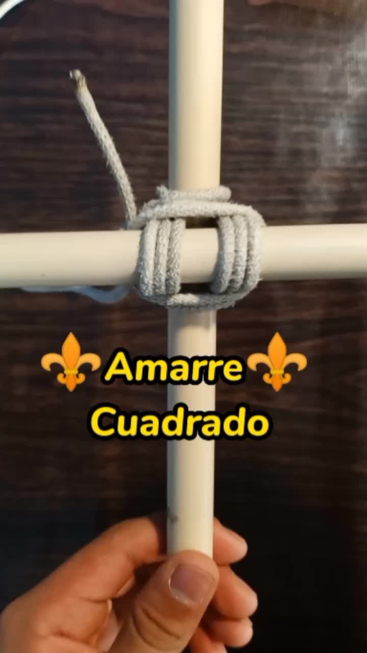 @Jesus Antonio Zamora