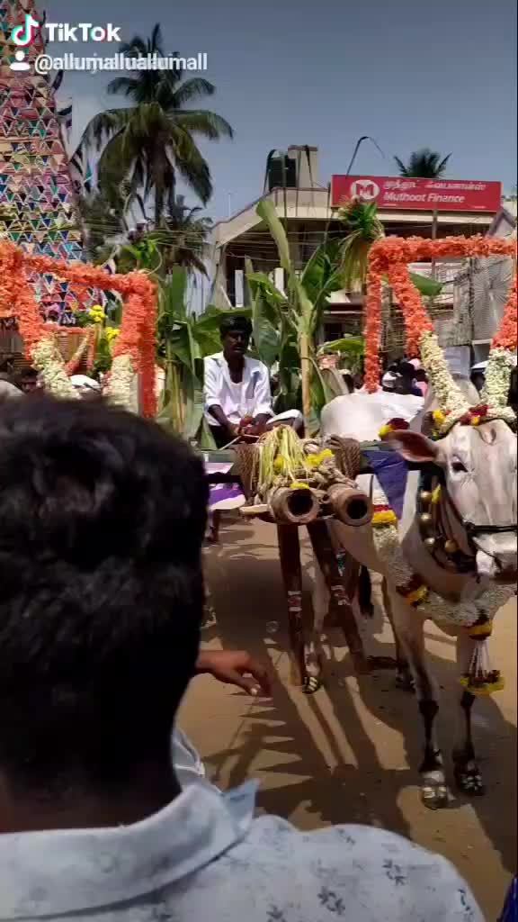 @Allumallu Allumallu