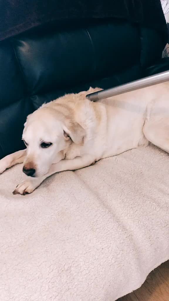 @🦖🐢Peanut_282🐊🦜