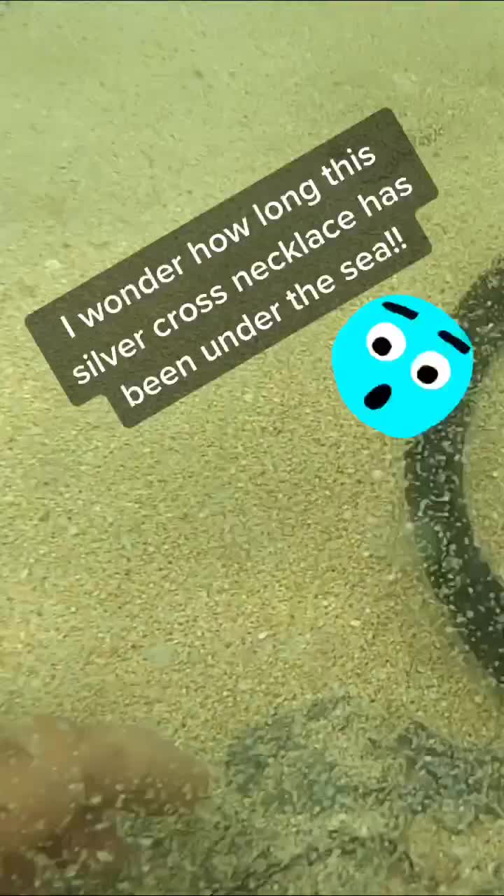 @northshoretreasurehu